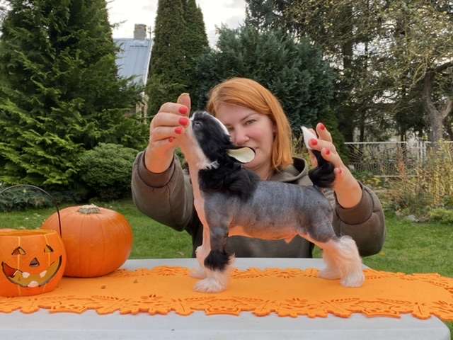 AkDeniz Incredible Baby