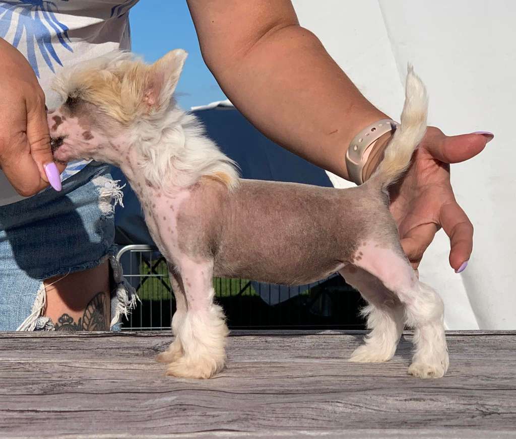 Royalette's Just For You