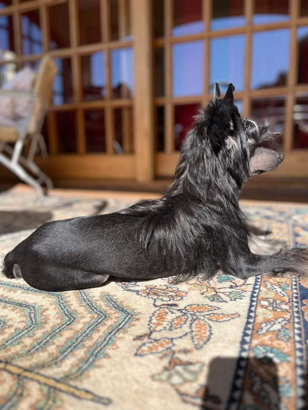 Il était une fois Vlad Tepes