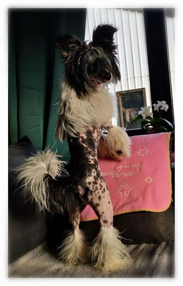 Il était une fois Valco