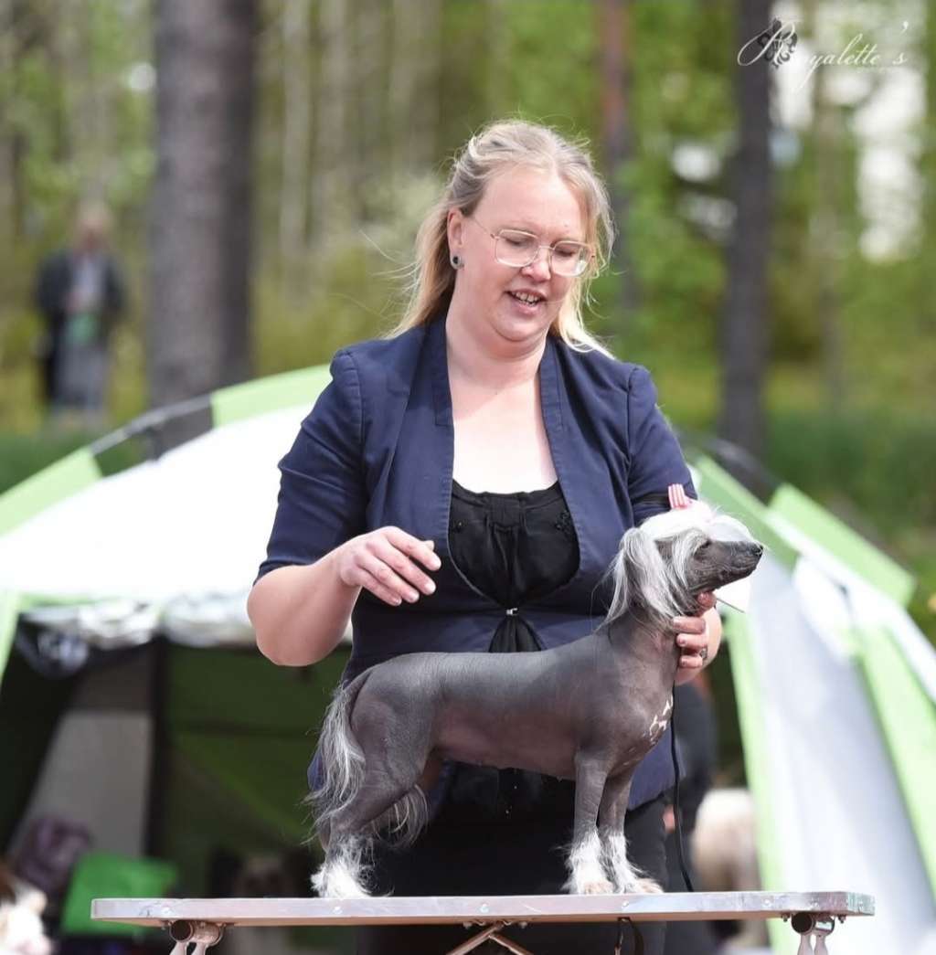 Viavrois Glamrock Glitter