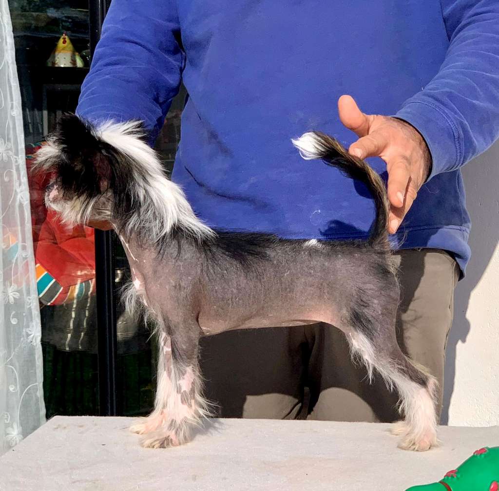 Selknams Emma liberty