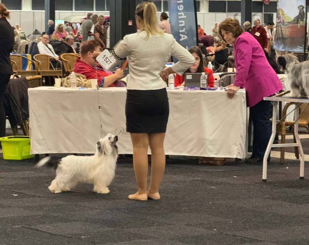 Graceful and Kind of ria's pride