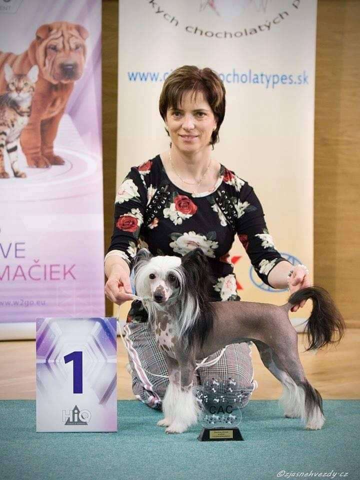 Celestýna Moravia Carolline