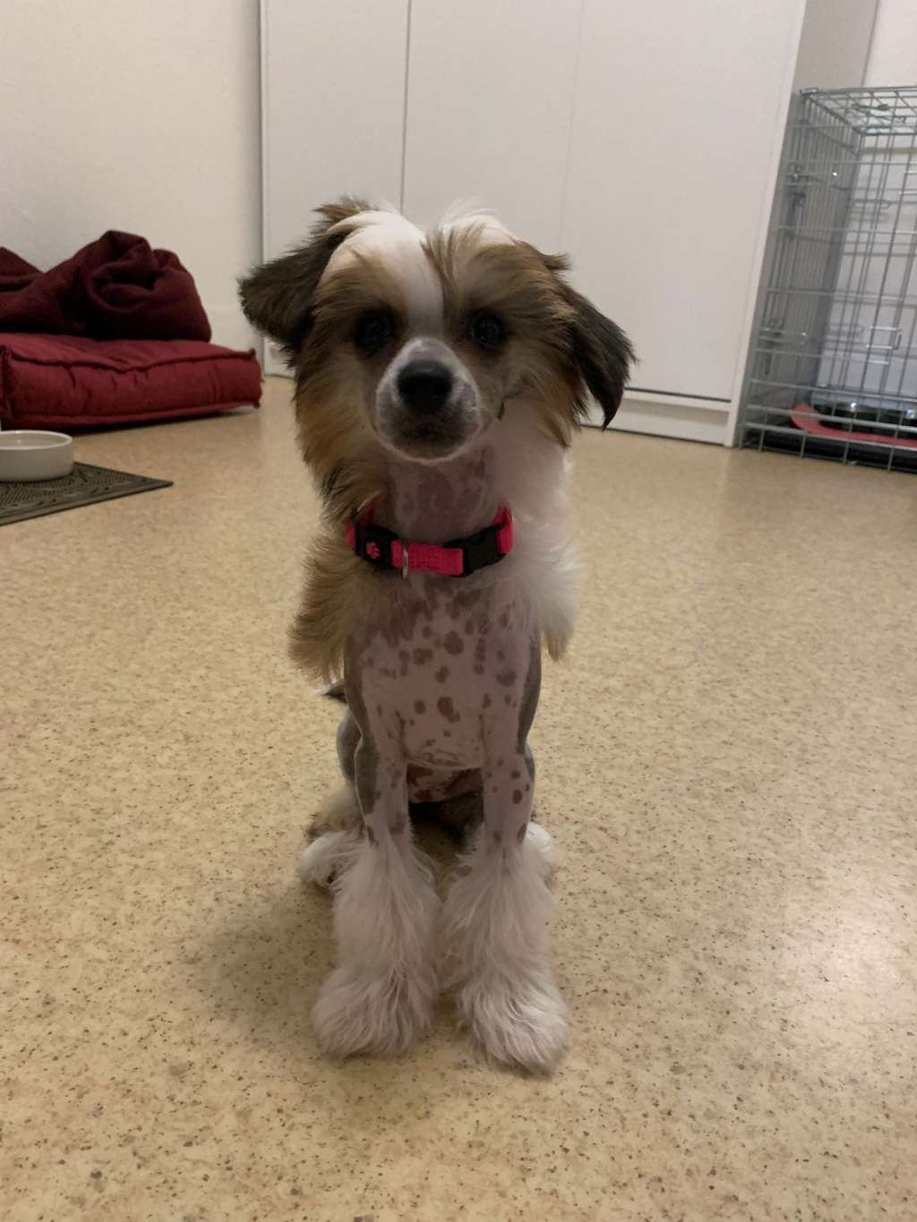 Eimmy Moravia Carolline