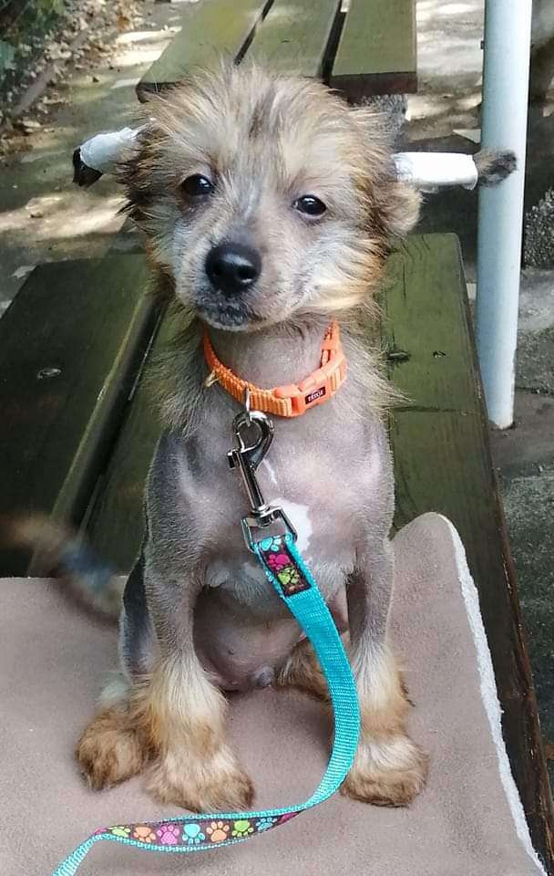 Eugen Moravia Carolline