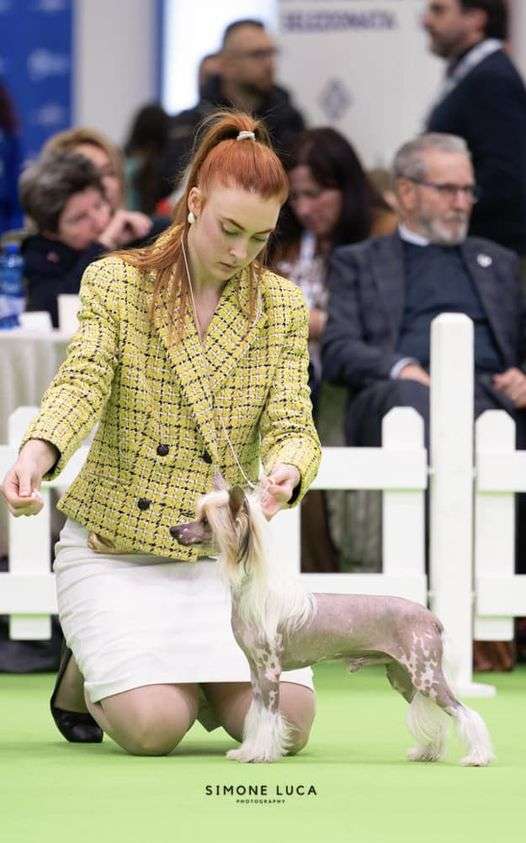 Magnus Staff Maximilian