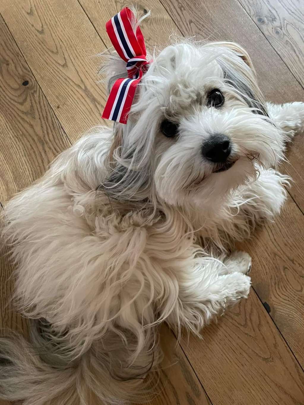 Björn Lothbrok av Sterke Pota