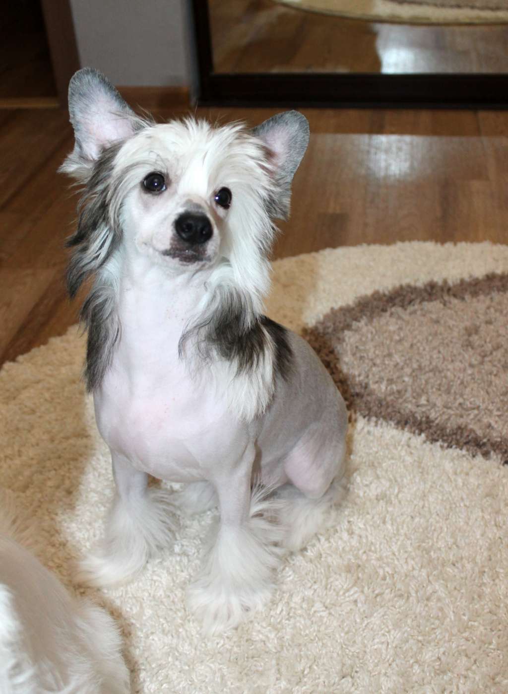 Sempre Con Te Vera Bellezza