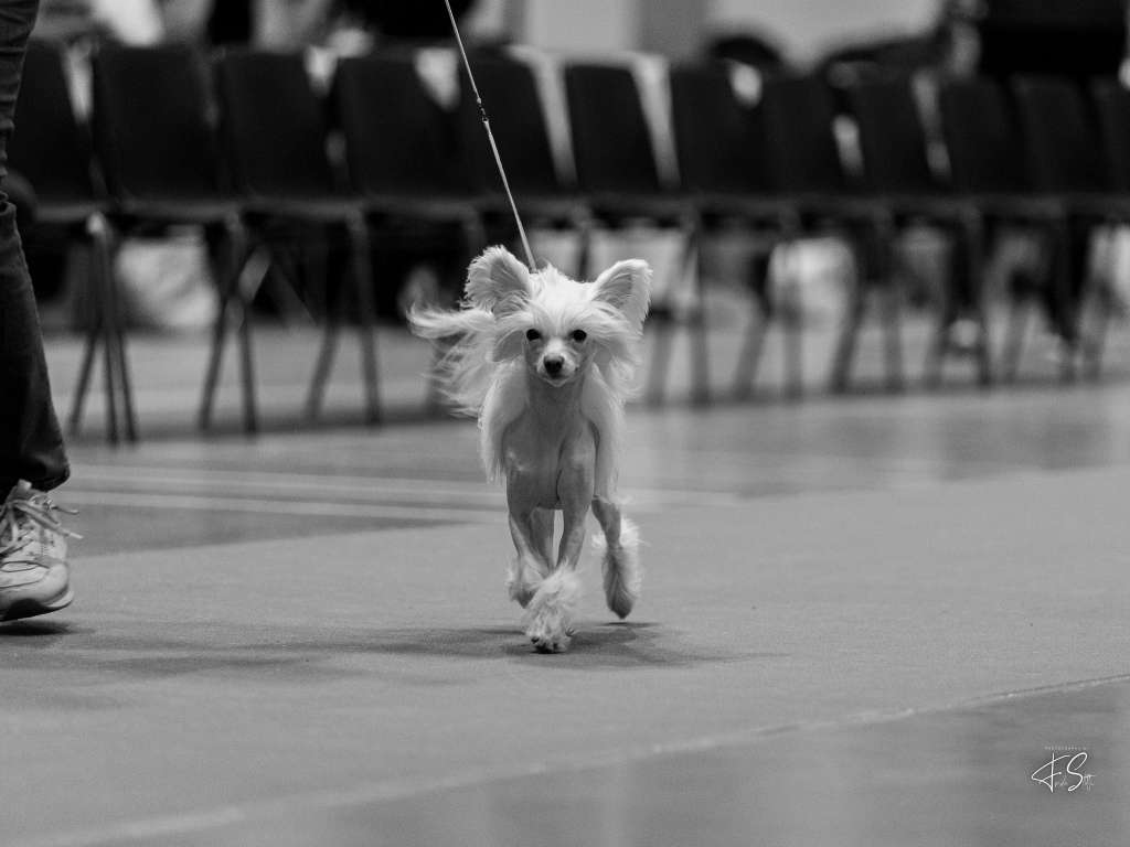 PowerBlackGirls Blondi