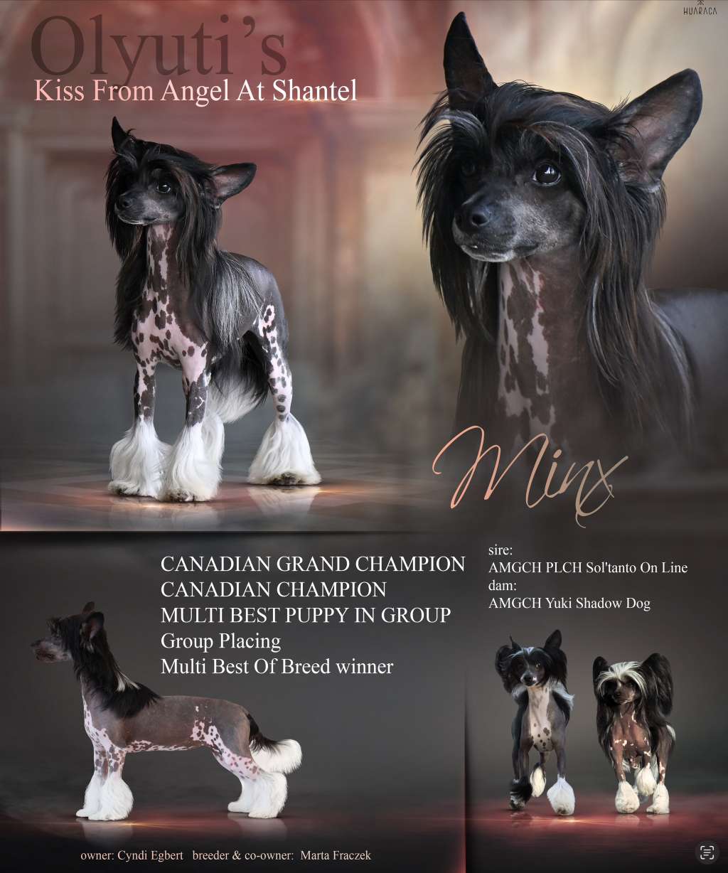 Olyuti's Kiss From Angel At Shantel