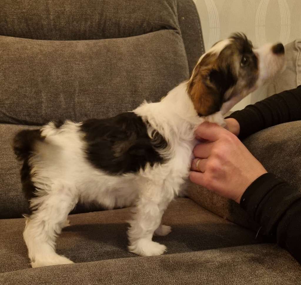 Epadalens I Was Made For Lovin You