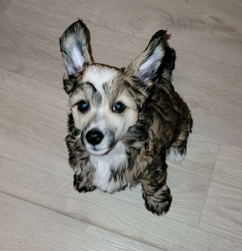 Camie of Milena's Kingdom