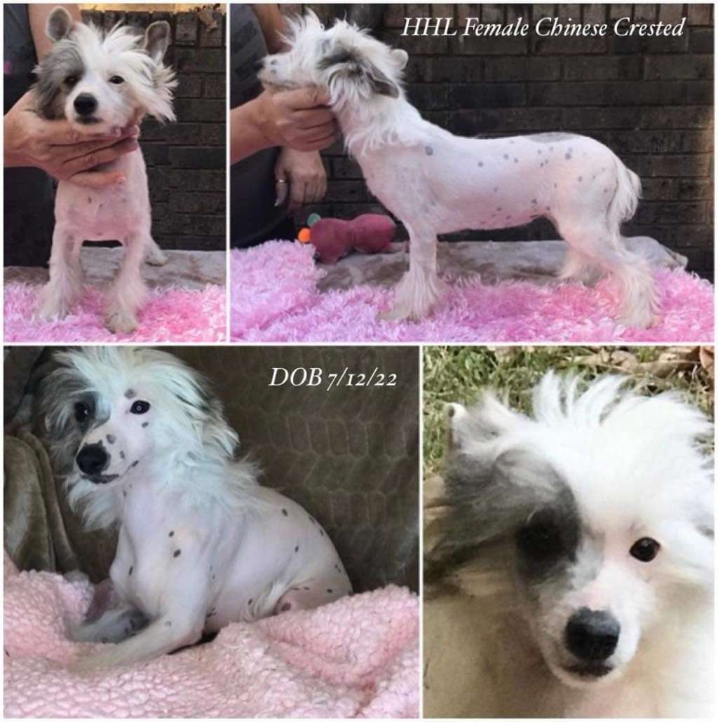 Flying Colors Mama Mia