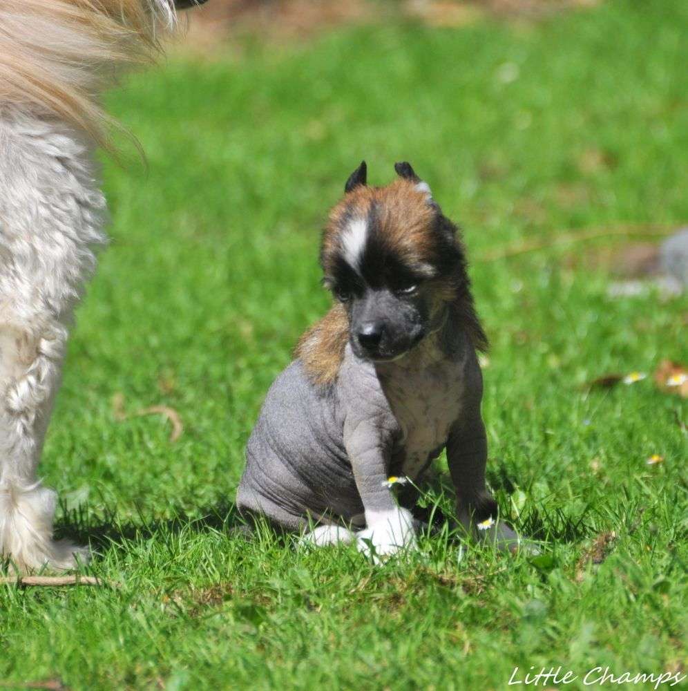 Take it easy Little Champs