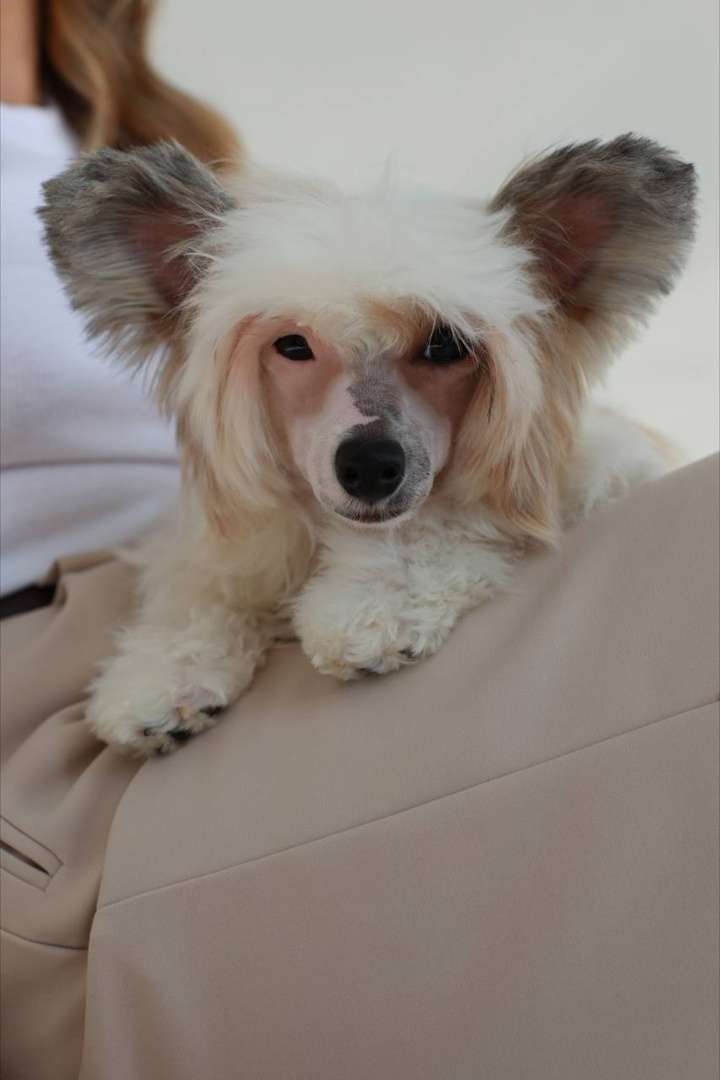 Izabel Crystals Mayya