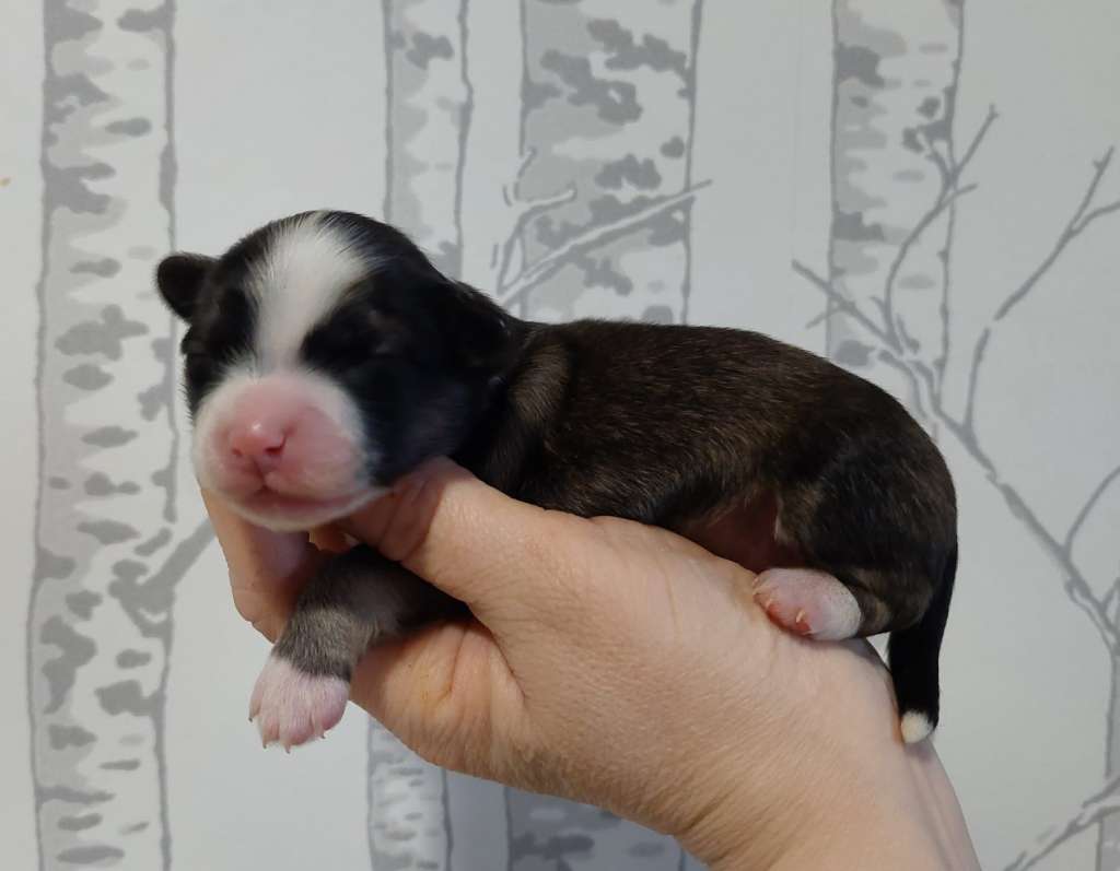 Concrete Clouds Day Dreaming