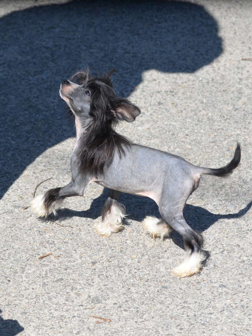 Magic of Success Mriya