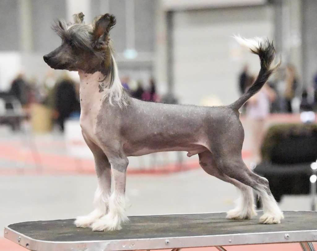 Jean Dark Easy Does It