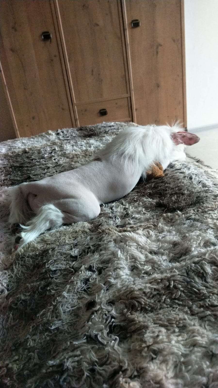 Kovimoti Dgiovanni Rovanni