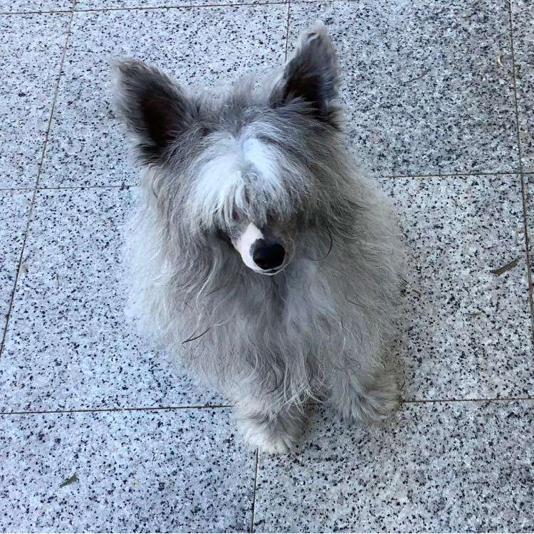 Rebel Princess Loveland Fantasy