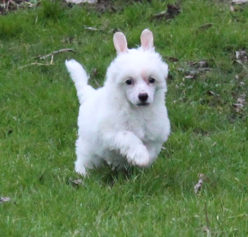 Exotic Spirit Teaser Poem of Love