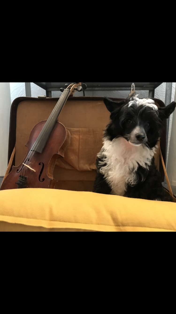 Atari Like Ice in the Sunshine