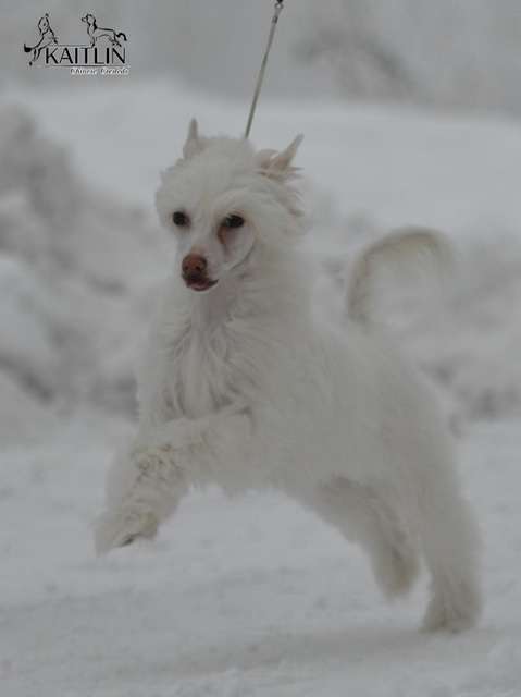 Zhannel's Joy Of My Life