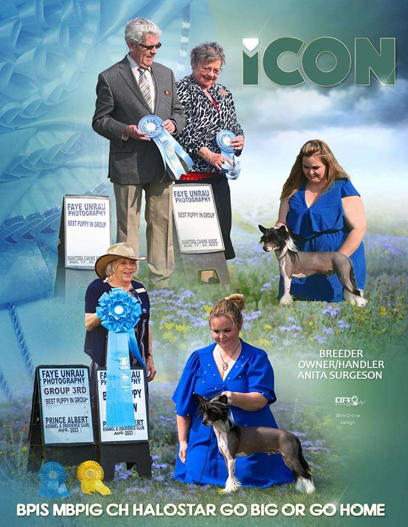 Halostar Go Big Or Go Home