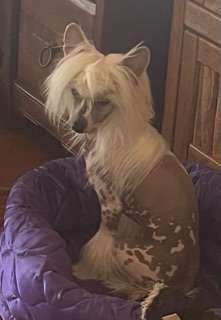 Carrera Nipigon Soleil