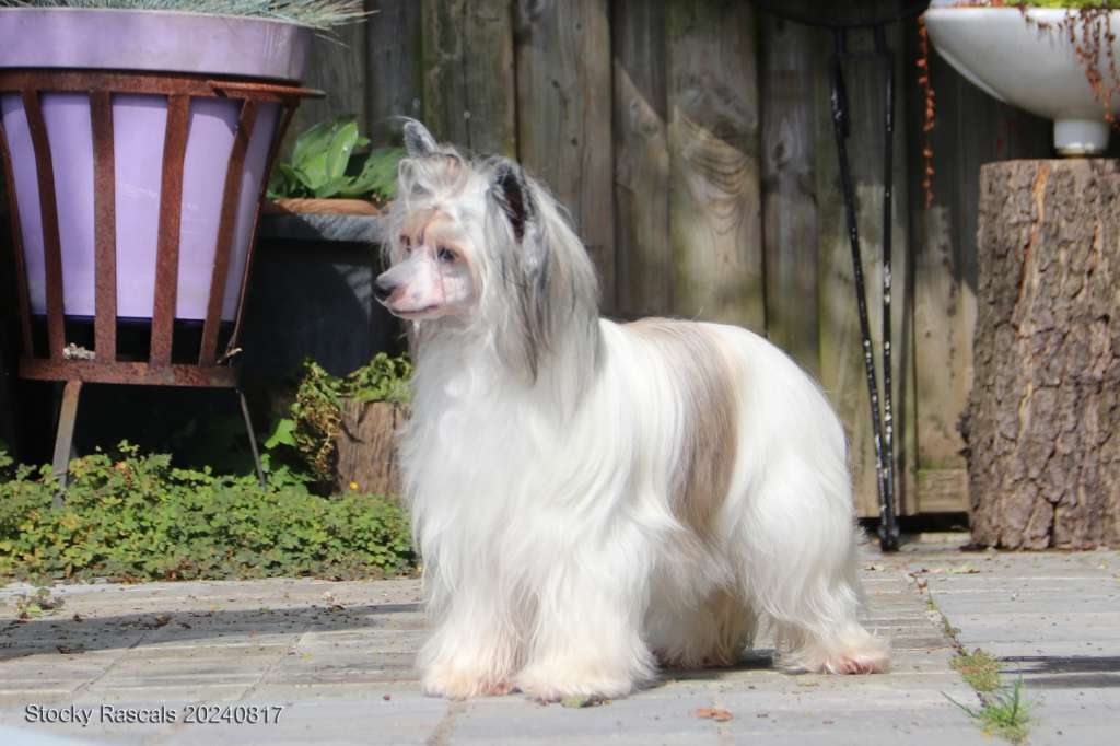 When You Think Of Love Island Shangri-La