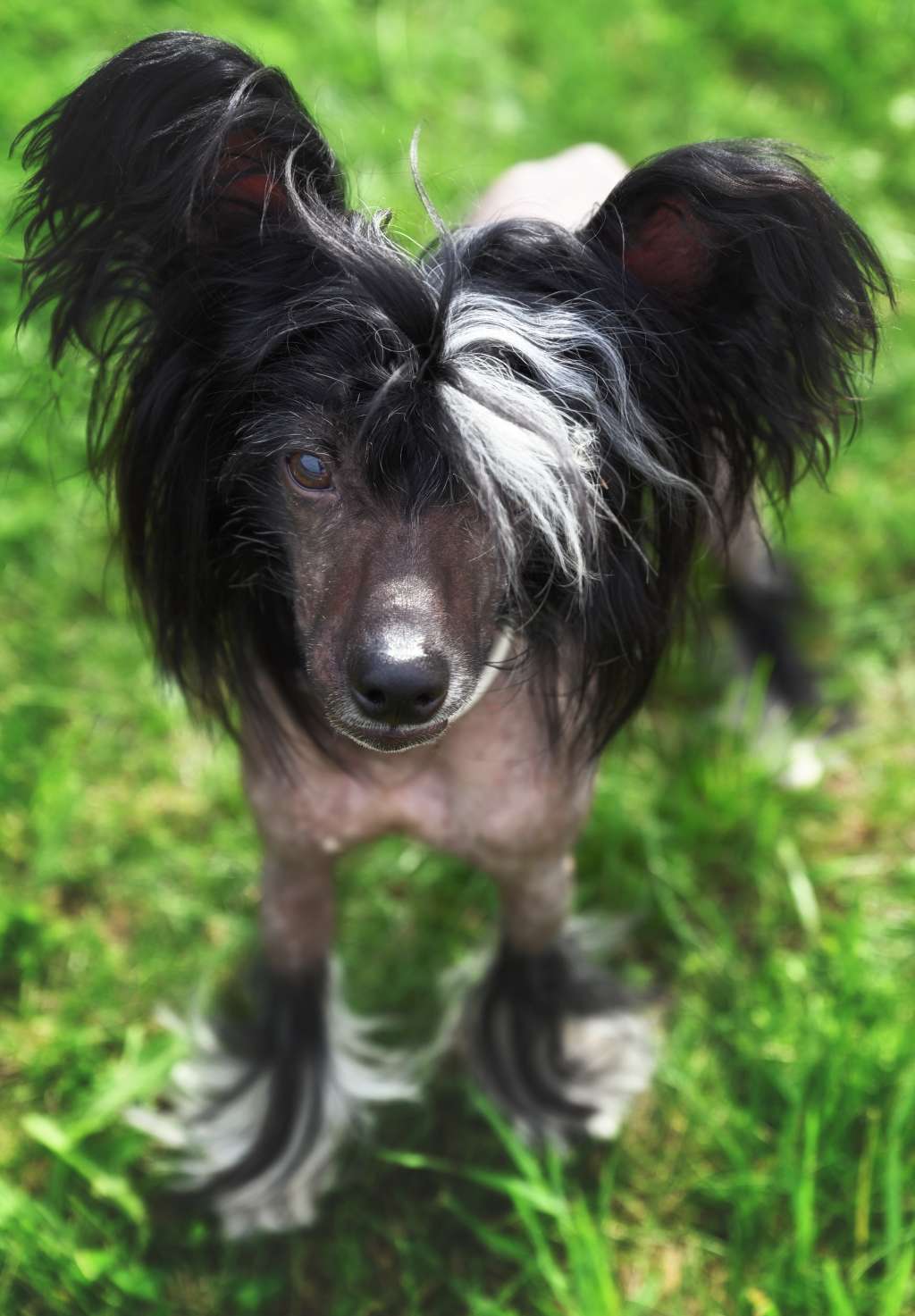 Baikal Dream Paco Rabanne