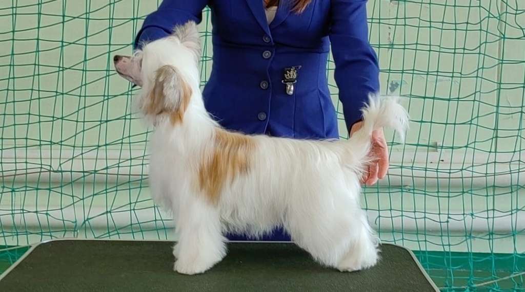 Baikal Dream Perfect Storm