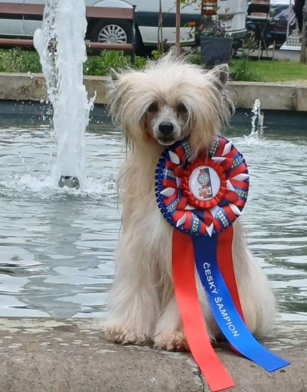 Knight Rider Gattaca