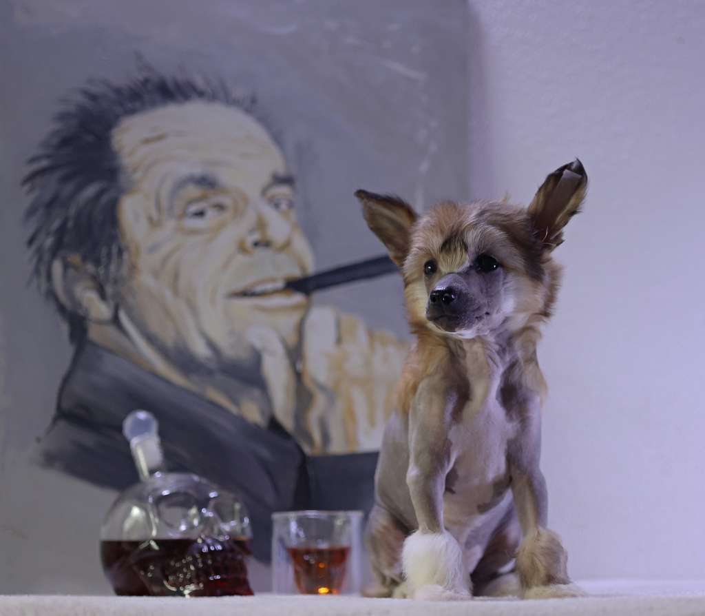 Rorry Queen Malverne