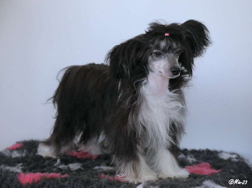 Tirlittan You Never Know