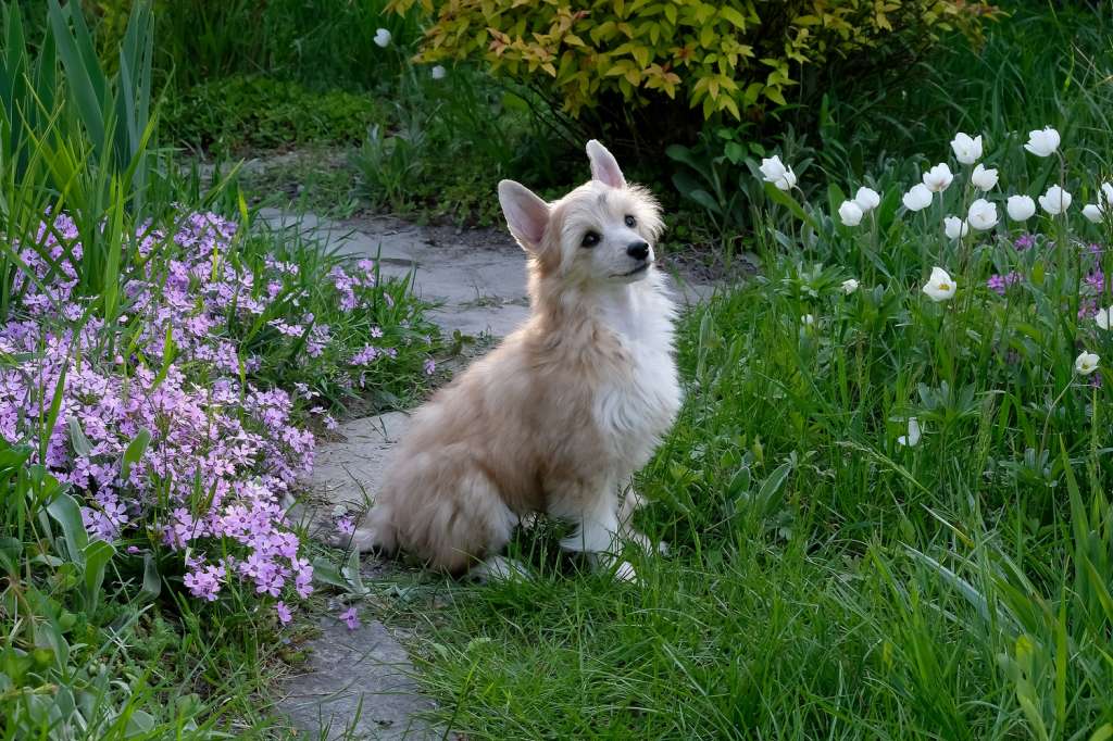 Tayina Nadiya El Tiola