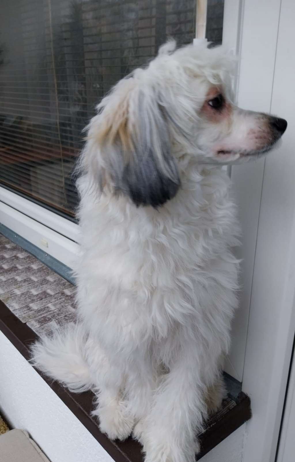 Josh Juicy z Jaromerského panství