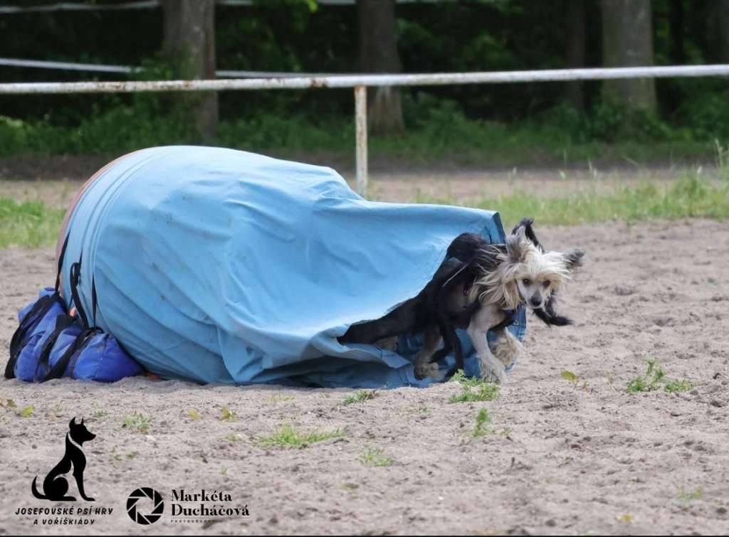 Hyppy Hope Pretty Sweet