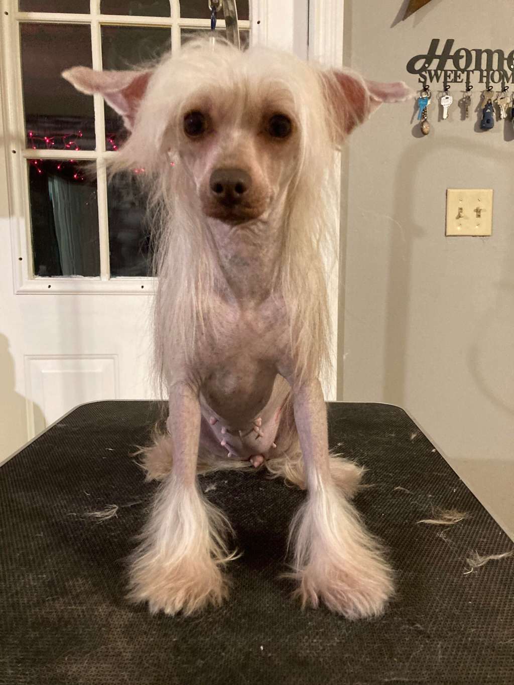 Qilin's Princess of the outlands