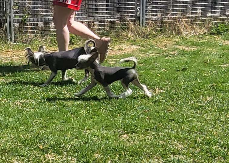 Av Da Mia Cuccia Enjoy life