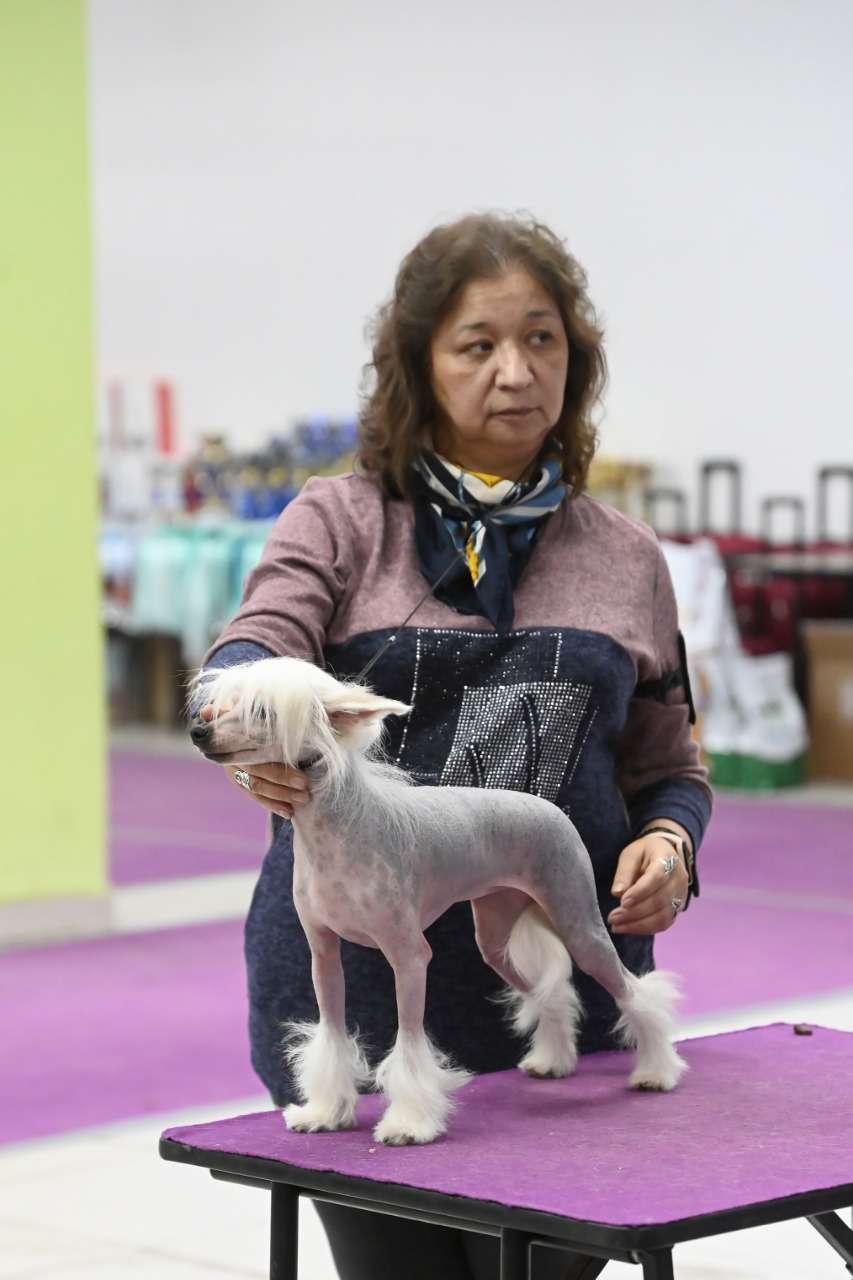 Mashama Mazi Rus Elefu Nyota