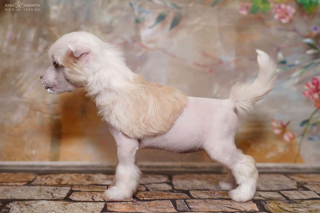 Grand Passage Jacqueline