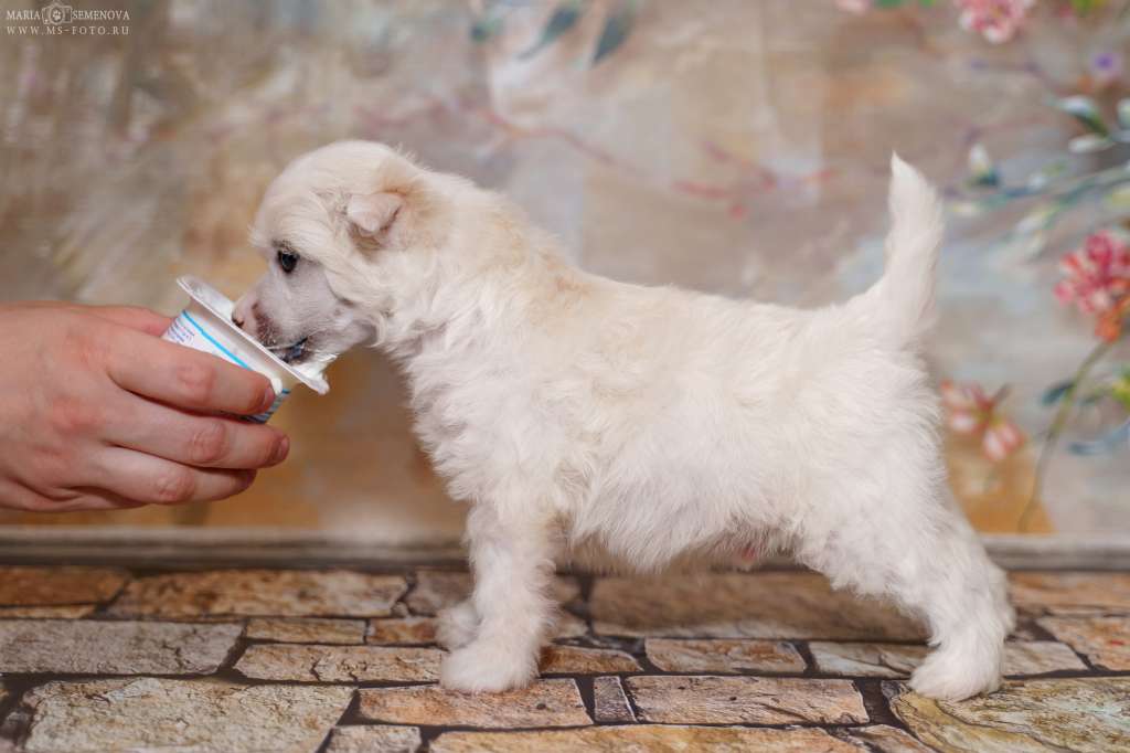 Grand Passage Jantuar