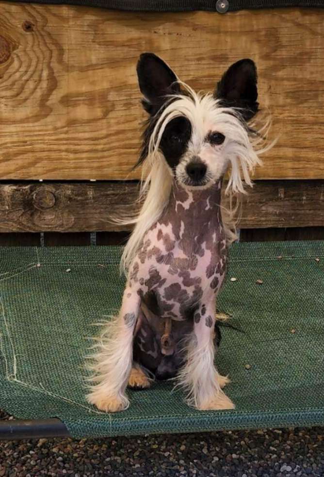 Sondrarose Hey Daddy Ushers My Name I Pity No Fool