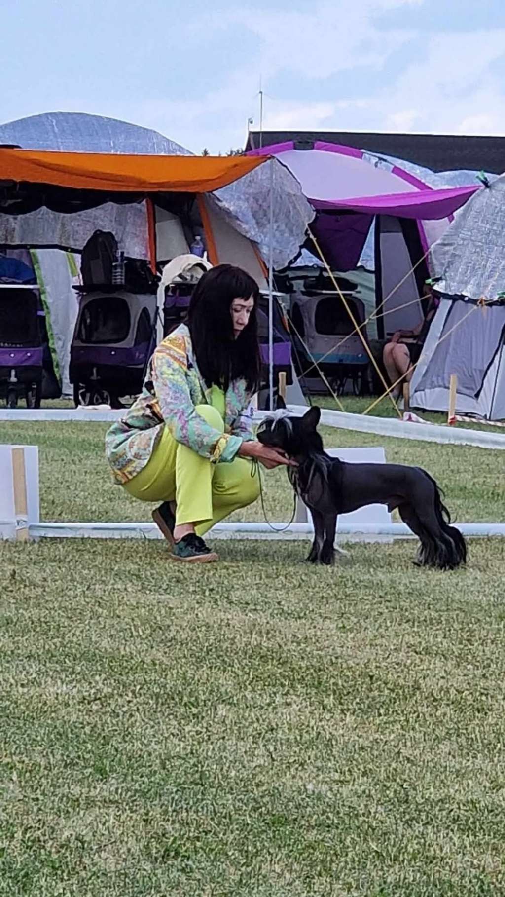 Calimero z Jasne hvezdy