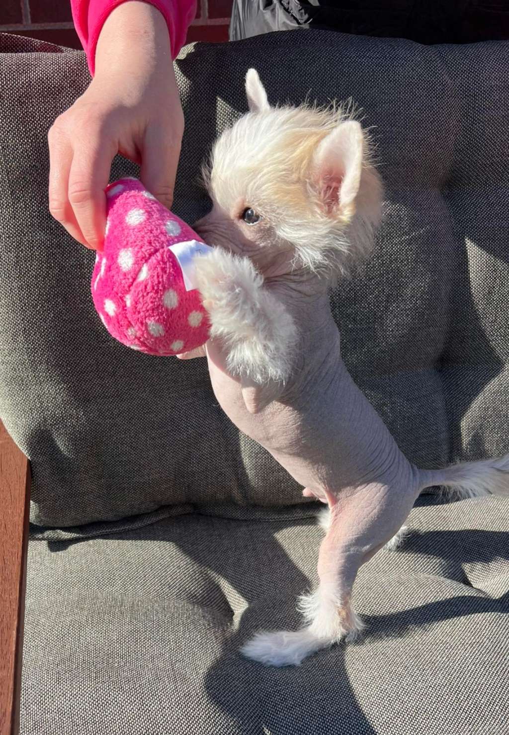 King Of My Heart Sindikatas