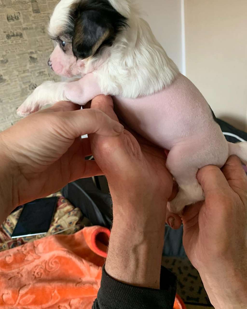 Andria LinLit Blessed