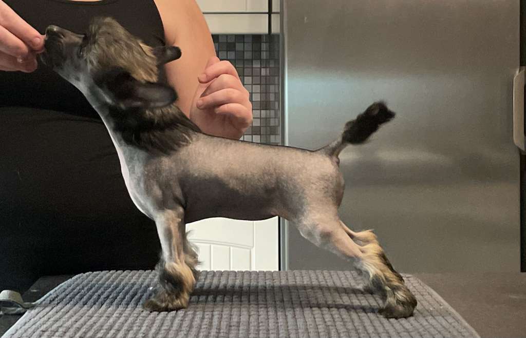 Nomilas Stuck On You