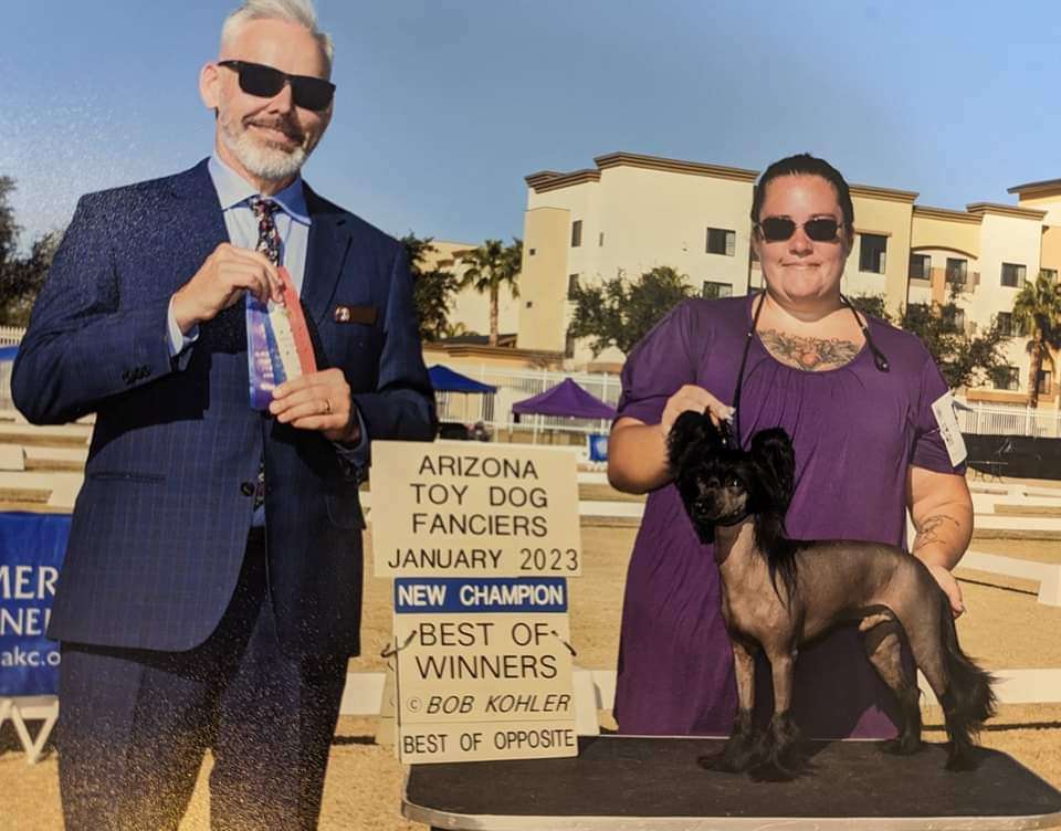 Zokasan Midnight Special